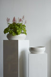 Simply Collection