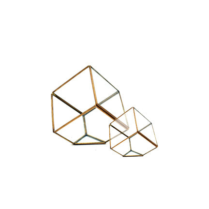 Gold Cube Terrarium