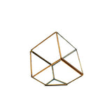 Gold Cube Terrarium