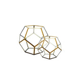 Gold Dodeca Terrarium