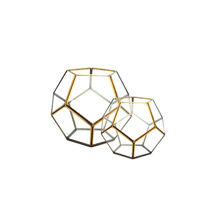 Gold Dodeca Terrarium