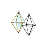 Hanging Octa Terrarium