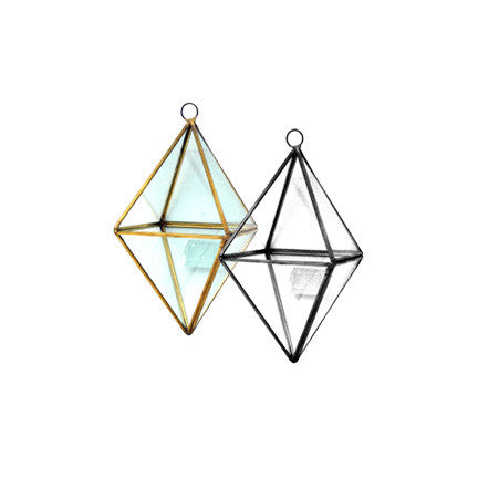 Hanging Octa Terrarium