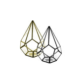 Asteroid Terrarium