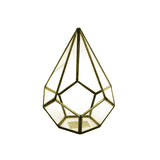 Asteroid Terrarium