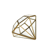 Geometric Terrarium GET2105