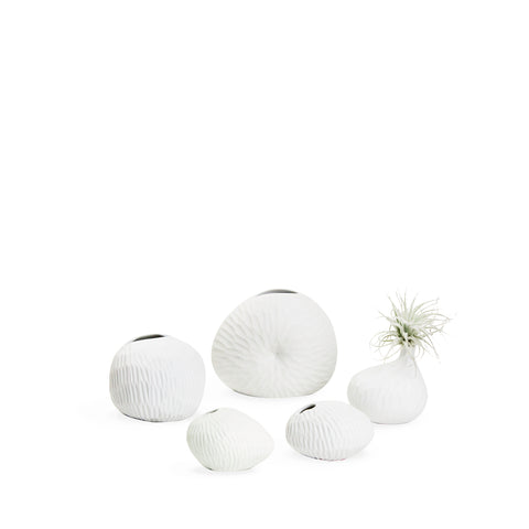 Bud Vase - WH15 ; WH12 ; WH16 - White