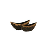 SOLAR SPINE BOAT