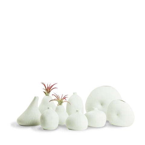 Bud Vase - WH1