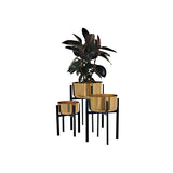 Dash Plant Stands