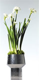 Equinox Vase