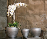 Graphite Pot