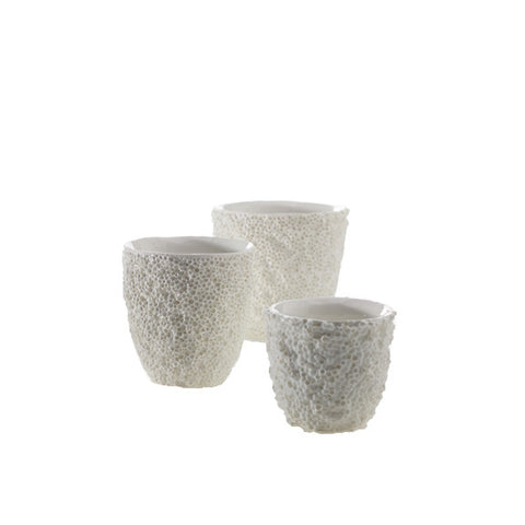 Reef Pot